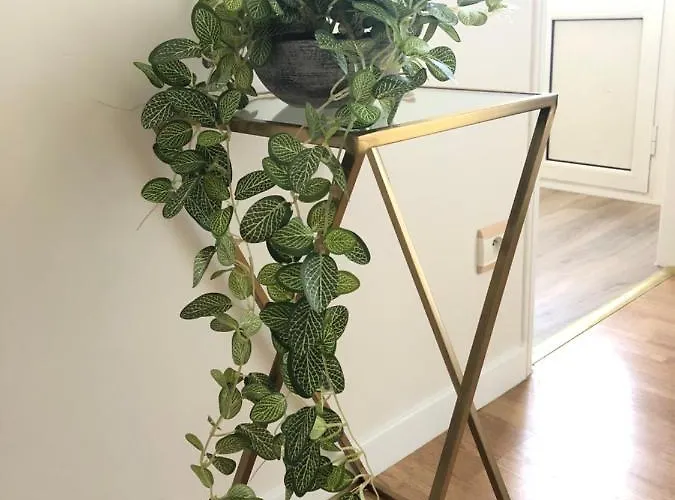 Un Petit Coin De Bastide